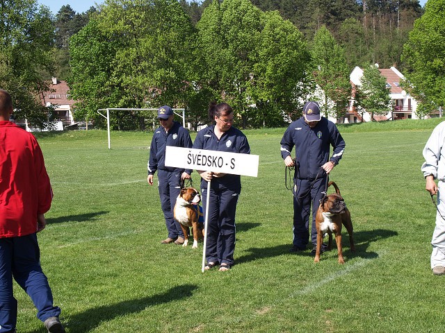 www.atibox.net * www.euroboxer.eu * www.boxergenealogia.eu
